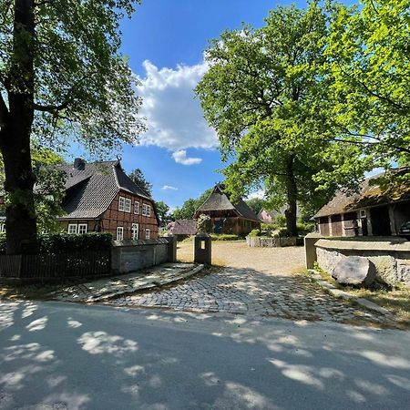 Heidehof Oberhaverbeck Villa Bispingen Buitenkant foto