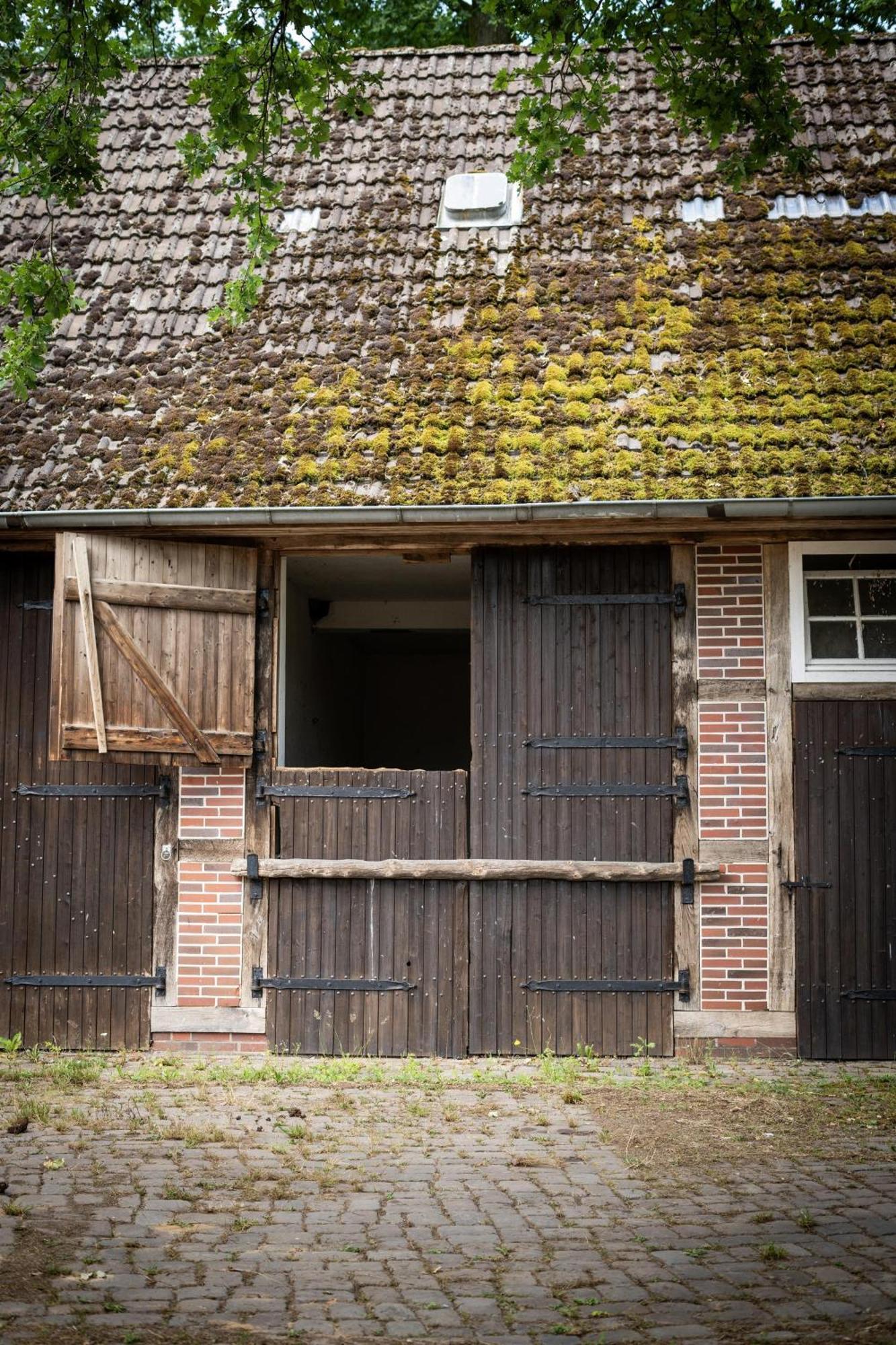 Heidehof Oberhaverbeck Villa Bispingen Buitenkant foto