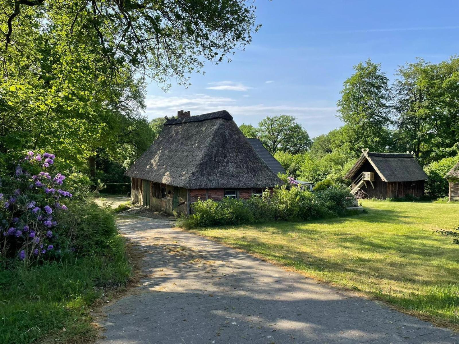Heidehof Oberhaverbeck Villa Bispingen Buitenkant foto